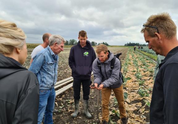 Werkbezoek project Duurzame bloemkool