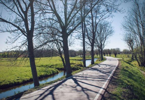 veilig werken langs de weg