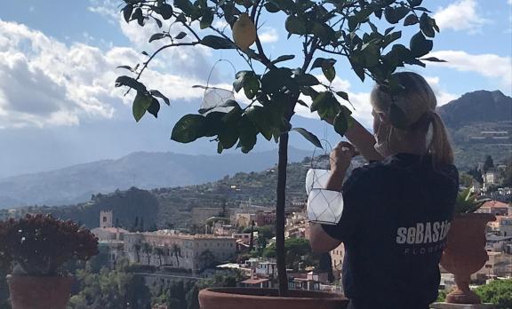Mikki I&O in Italie